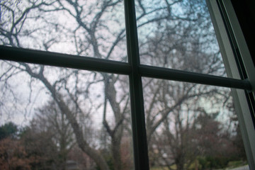 An Old White Wooden Window Looking Outside