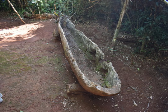 Canoa aborigen
