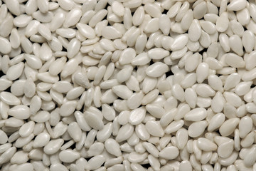 sesame macro texture large plan scattered on the table