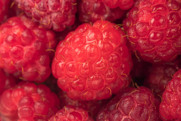 raspberry berry health and diets close-up macro with fresh water drops