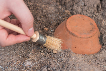 archeology . Male hand holding brush. brush; excavation of rare pots and villages. tools for the excavation and culture of ancient settlements and caves. Elements of Culture BC