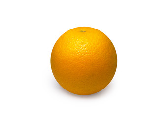 Orange fruit on white background