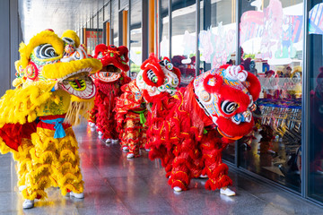 23 January 2020-Phuket::lion dance show for chinese new year
