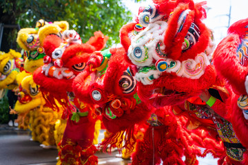 23 January 2020-Phuket::lion dance show for chinese new year