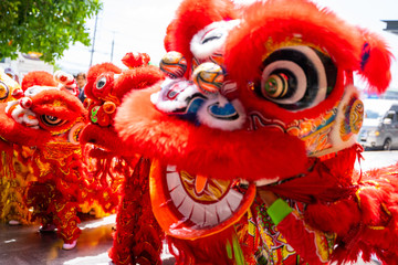 23 January 2020-Phuket::lion dance show for chinese new year