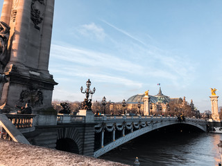Fototapeta na wymiar The Alexandre III bridge across the Seine river in Paris, France at sunset.