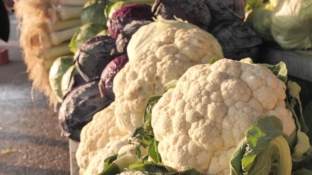 Beautiful, cinematic close-up shot of a fresh cauliflower in sunlight, red and green cabbage, Scallions (also known as green onions, spring onions, or salad onions) on a background (blurred, selective