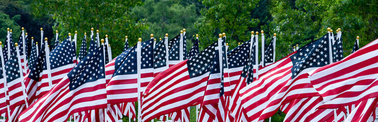 A large group of American flags fly in the breeze, creating a beautiful scene of pride for our...