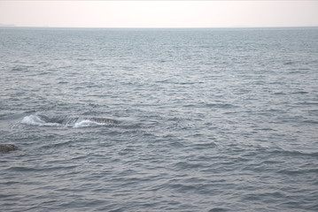 Fototapeta premium Waves breaking over a rocky outcrop creating a whirlpool and waterfall effect