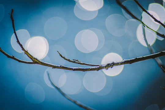 bokeh