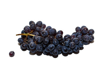 Bunches of dark grapes isolated on white background