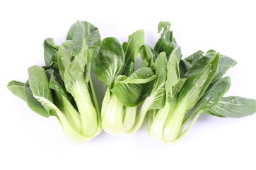 Chinese cabbage vegetable on a white background.