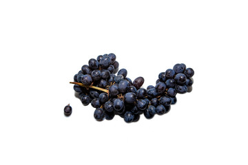 Bunches of dark grapes isolated on white background