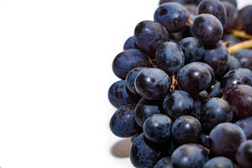 Bunches of dark grapes isolated on white background