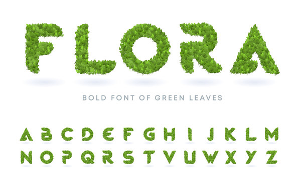 Simple bold green leaves textured natural font. Realistic garden letters set. Business logo design template bundle.