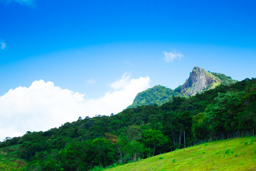 Paisagem da Pedra Branca Palhoça Santa Catarina Brasil