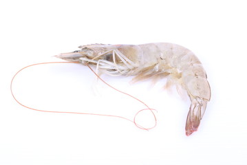 Fresh Shrimp on white background isolated