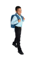 Cute African-American schoolboy on white background