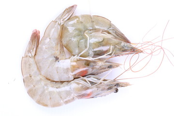 Fresh Shrimp on white background isolated