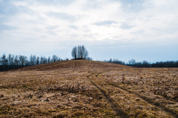 Lonely tree standing on the mountain and the road.