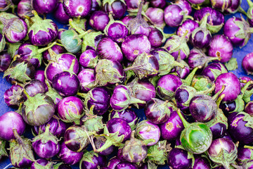 Fototapeta na wymiar Thai eggplant is commonly used in Thai cuisine. Close up