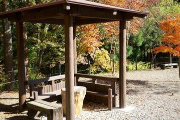 Japanese autumn forest and pavilion