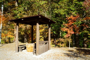 Japanese autumn forest and pavilion