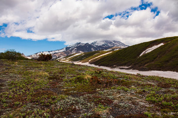 Volcano kachatka tundra summer snow