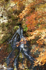 Japanese autumn mountains and river