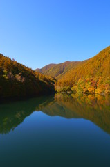 Japanese autumn forest and dam lake