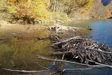Dam lake rough after typhoon