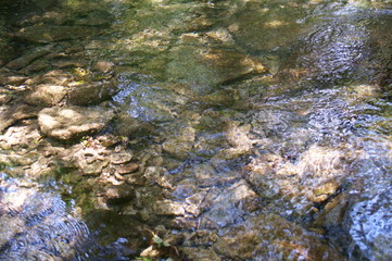Japanese mountain stream and moss
