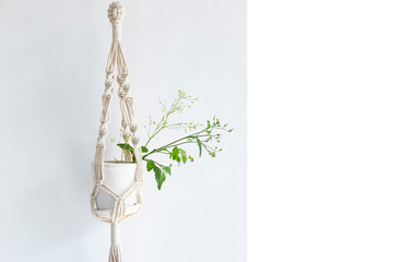 Hand made macrame isolated on white background.Embroidery.