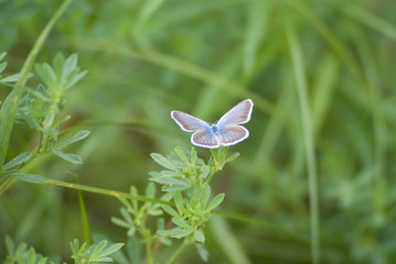 SONY DSC