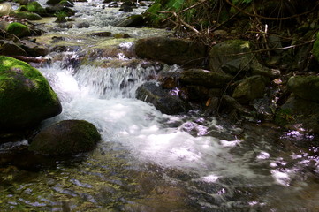 Fototapeta na wymiar Japanese mountain stream and moss
