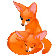 Obraz premium Two cute animated foxes isolated on white background. Vector cartoon close-up illustration.