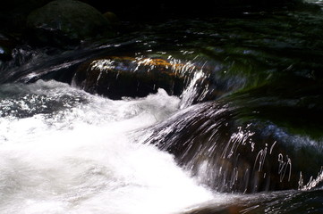 Japanese mountain stream and moss