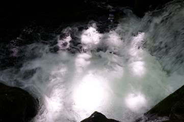 Japanese mountain stream and moss