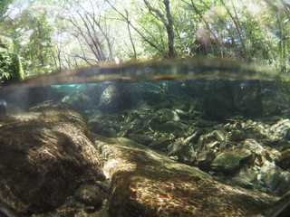 Underwater photo of mountain stream