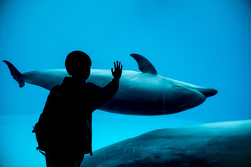 A boy and a dolphin in aquarium