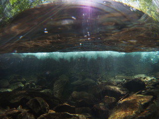 Underwater photo of mountain stream