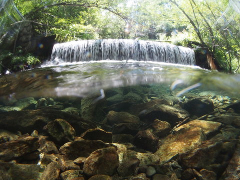 Underwater photo of mountain stream