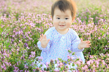お花畑で笑う赤ちゃん