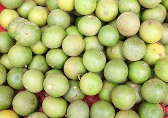 Fresh and green lemons