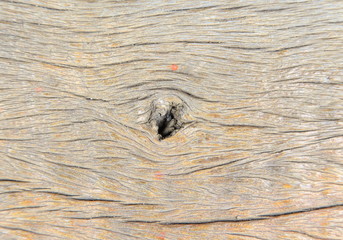 Old wood background