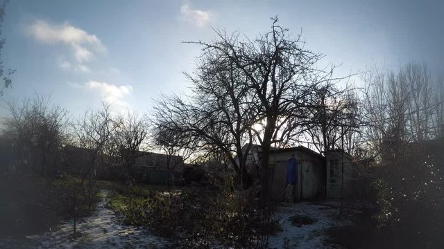circular timelapse of winter nature among trees and sky
