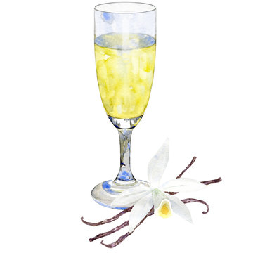 Hand Drawn Watercolor Prosecco With Vanilla.