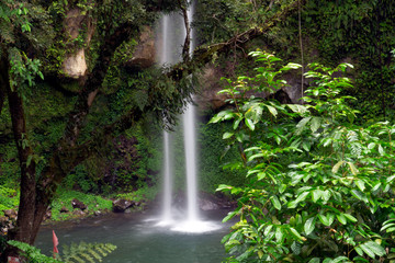 waterfall in the forest
