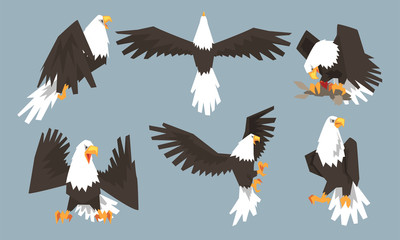 Collection of Bald Eagles in Various Poses, Pride and Power Predatory Bird Vector Illustration