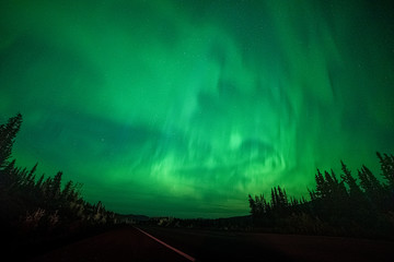 Aurora Borealis Northern Lights Yukon Territory Canada during fall, autumn with green bands lighting up the north sky near Whitehorse